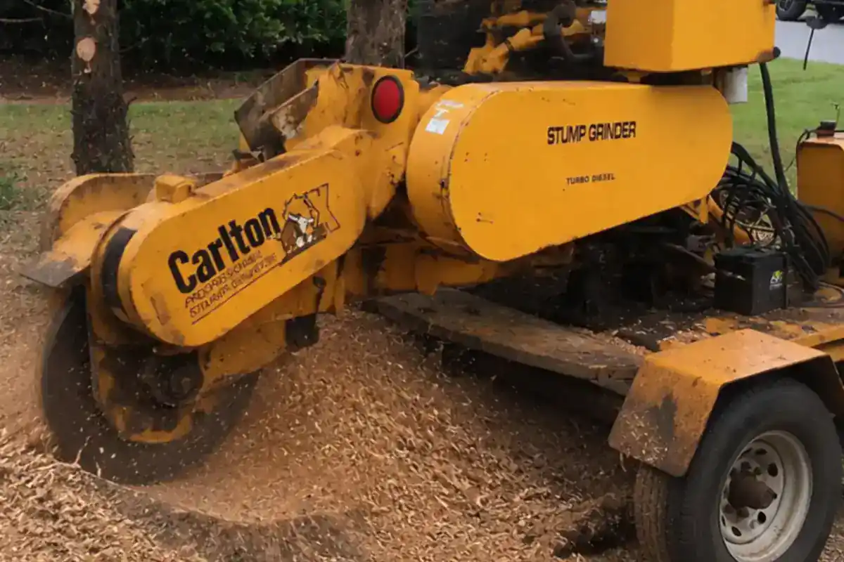 Hyler's tree and property work representative of services available in Hickory, NC