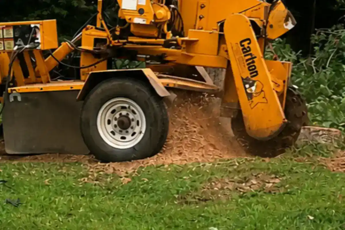 Stump Grinding from Hyler's